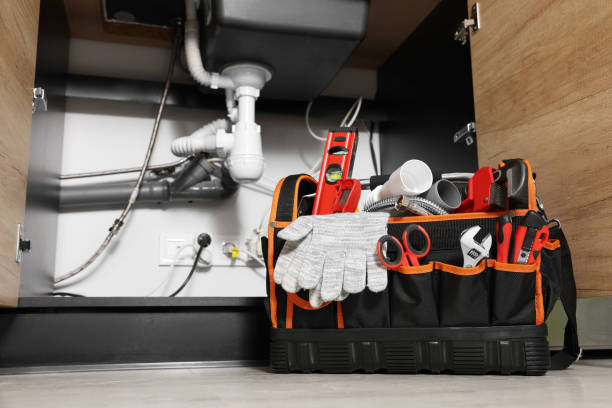 Best Drain Cleaning Services  in Portage, IN