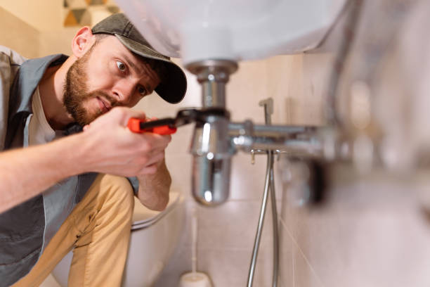 Best Clogged Drain Plumber  in Portage, IN