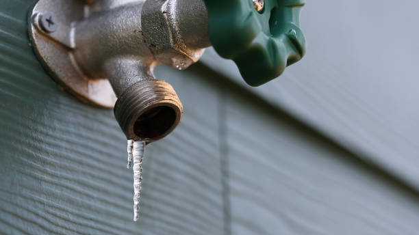 Best Sewer Line Repair  in Portage, IN